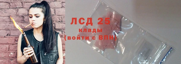 индика Баксан