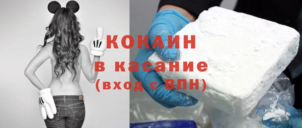 мдпв Богородицк