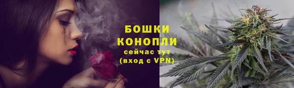 стафф Богданович
