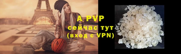 стафф Богданович