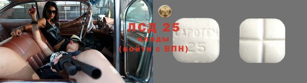 мдпв Богородицк