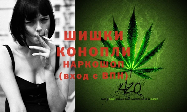 индика Баксан