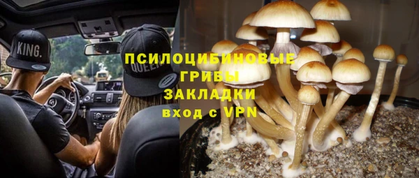 стафф Богданович