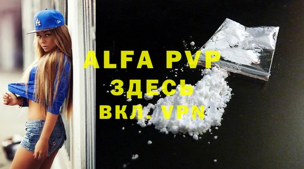 индика Баксан